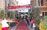 mitja07_2007_casser_415_2.jpg