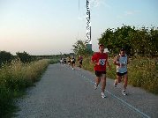 mitja07_2007_ser_409yzi_2.jpg